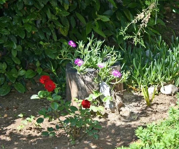 With Parking Space Dramalj, Crikvenica - 5576